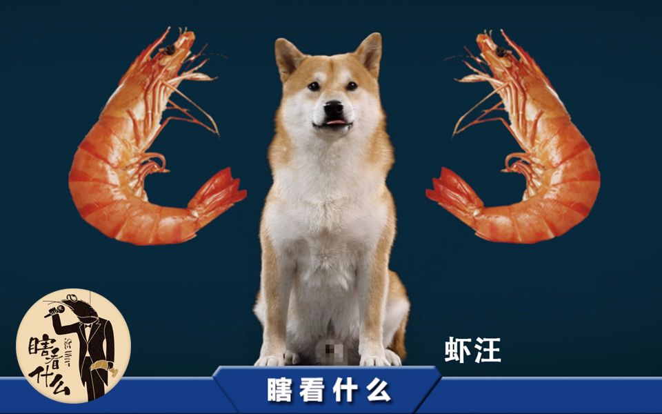 【瞎看什么】一年之计在于让一只汪来 来自风魔无下限 - 微博