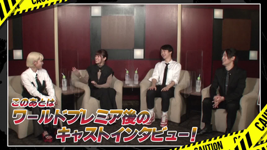 ビカクシダ P.bilibili thunder 2013.01.01 さんタク_哔哩哔哩_bilibili