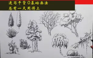 下载视频: 速写基础植物画法，速来收藏