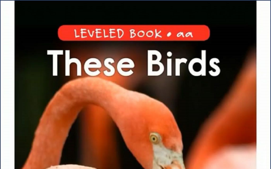 [图]「不用词汇书背单词」Episode 82：These Birds