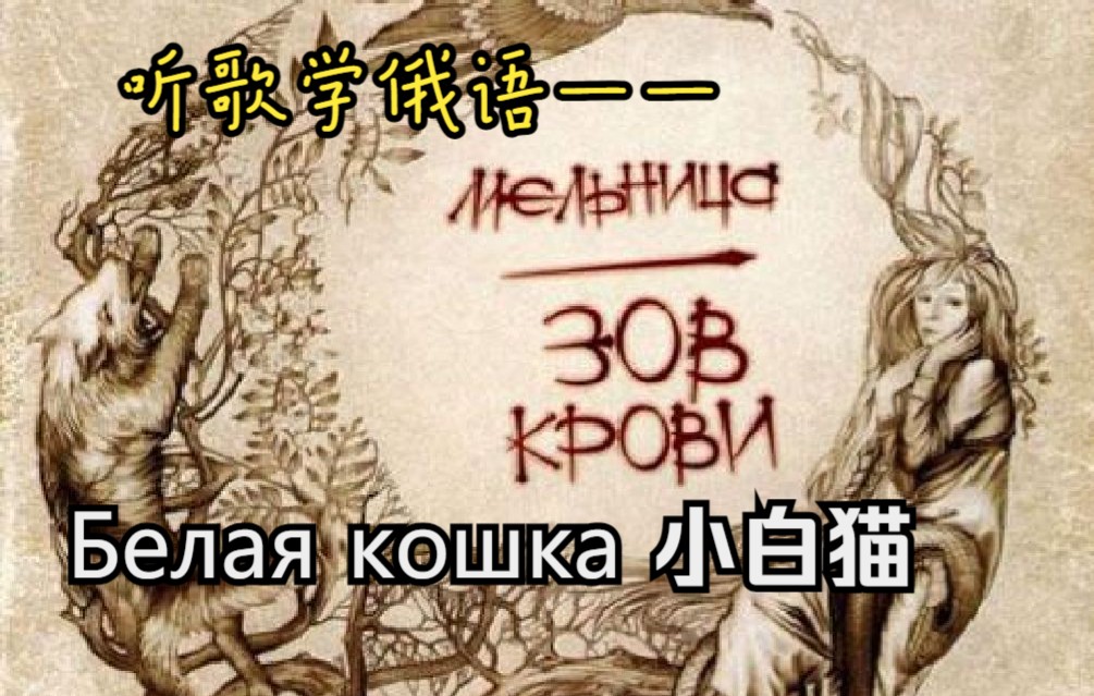 [图][听歌学俄语]Белая кошка 小白猫 -Мельница -Зов Крови