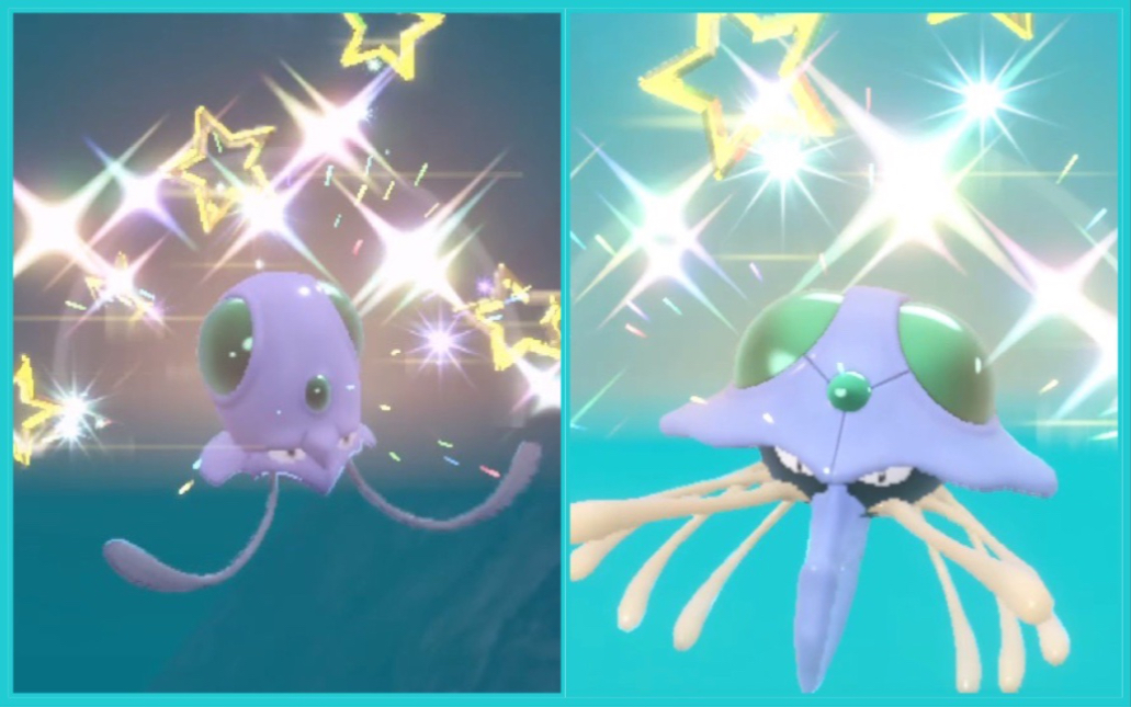 证章闪光毒刺水母一家get!朱紫路闪no.69