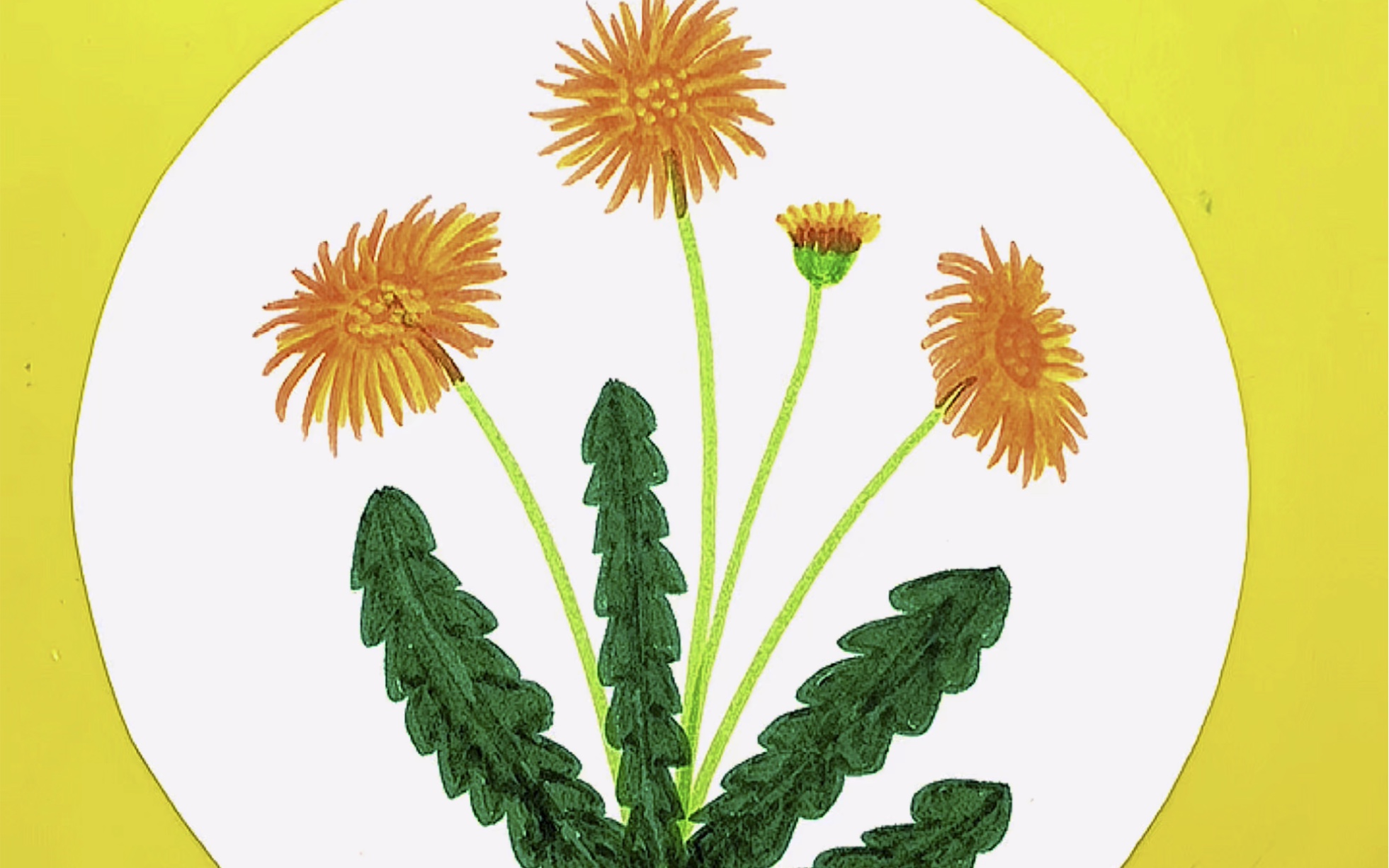 丙烯马克笔画:简单几笔勾画路边的蒲公英