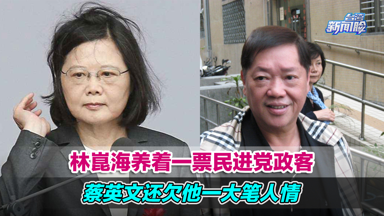 台湾媒体大亨林崑海养着一票民进党政客,蔡英文还欠他一大笔人情哔哩哔哩bilibili