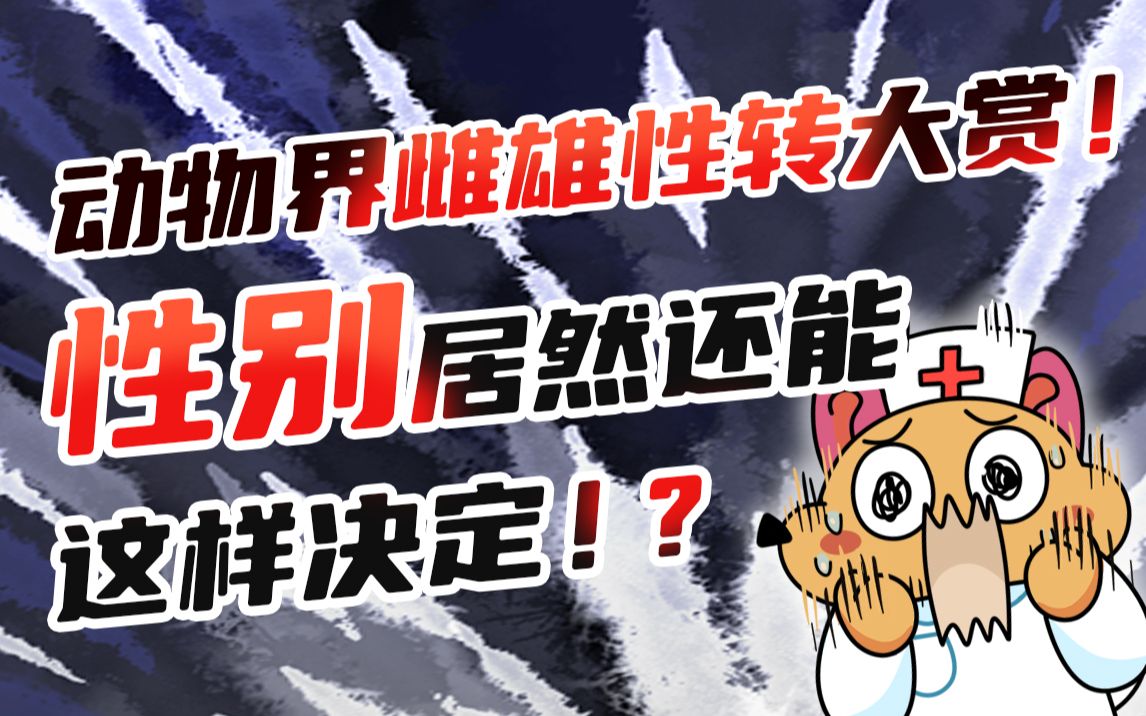 今日好奇:性别不是天生的!这些动物可以玩儿性转!【动物诊所】哔哩哔哩bilibili