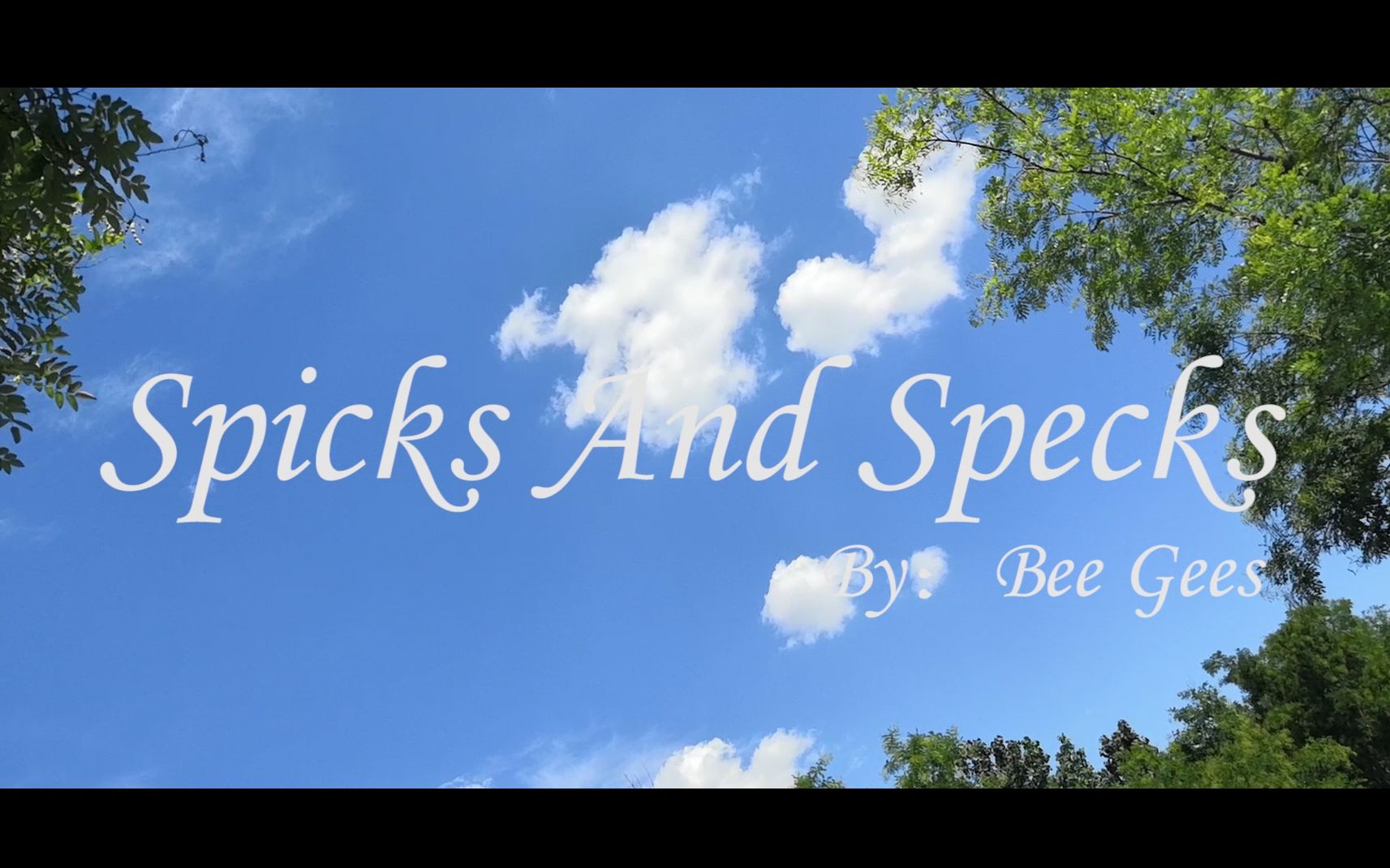 活动作品spicksandspecks