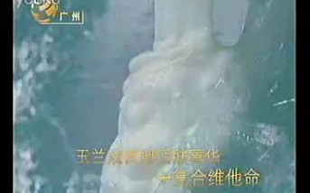 2006年olay玉兰油紧致活肤沐浴露(粤语版)哔哩哔哩bilibili