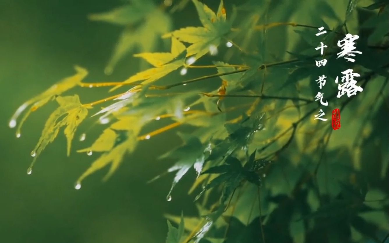 [图]二十四节气小科普之——寒露