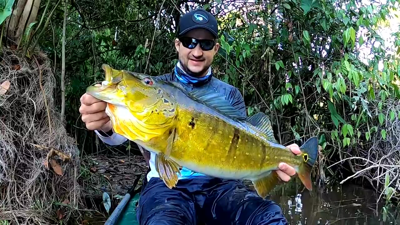 [图]PARA LAVAR A ALMA!!! O RIOZINHO SECRETO DOS PEIXES GIGANTES... Pescaria!