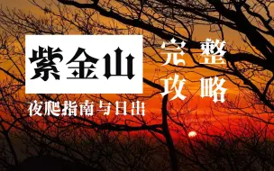 Descargar video: 紫金山日出之行，大聪明早起的避坑指南！