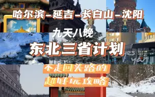 下载视频: 东三省旅游攻略｜一次性打卡美丽的中国东北｜哈尔滨｜延吉｜长白山｜沈阳｜12月初的旅行