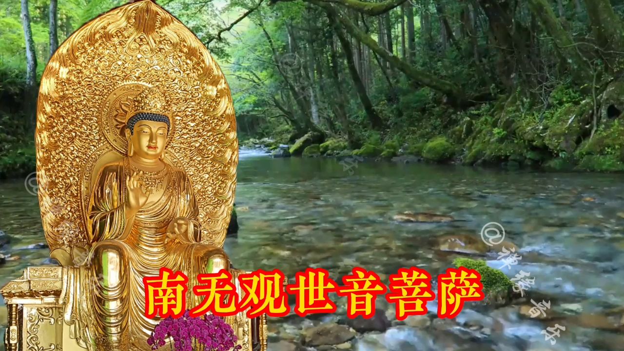 超好听《南无观世音菩萨》108遍,消灾除难,静心聆听,愿健康哔哩哔哩bilibili