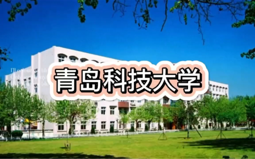 青岛科技大学录取分数线哔哩哔哩bilibili