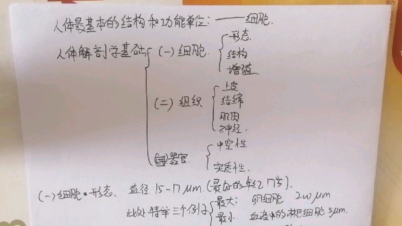 [图]医学影像技师考试1.1.1人体解剖学基础