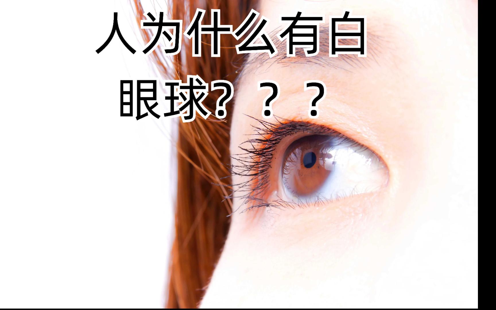 为什么人类的白眼球这么大?