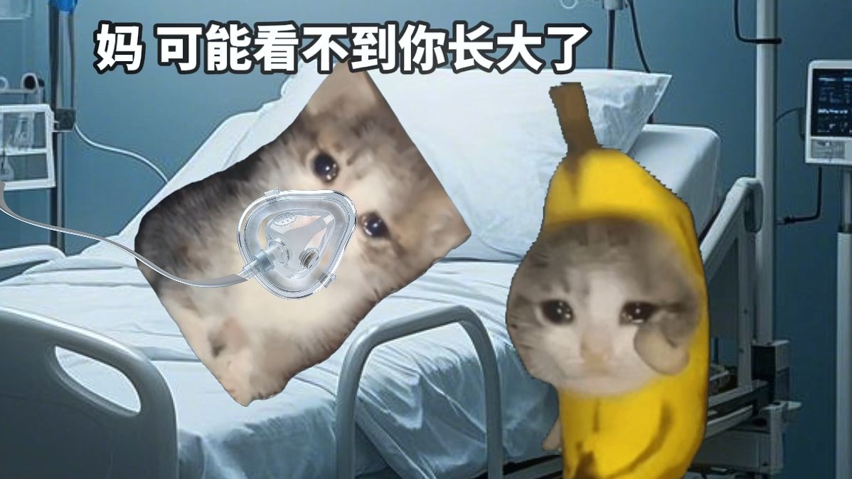 “我这一路走来没有敌人，全是老师”