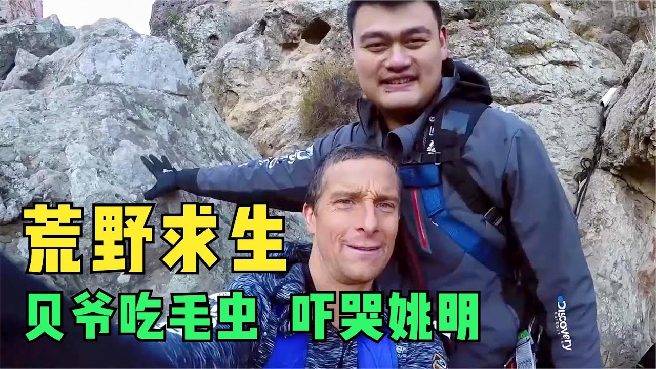荒野求生贝爷带着姚明吃昆虫大餐不料却被美国警察带走