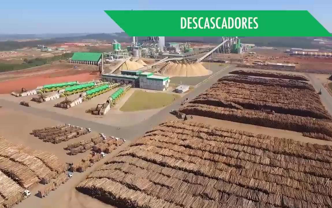 美洲狮klabin纸浆厂