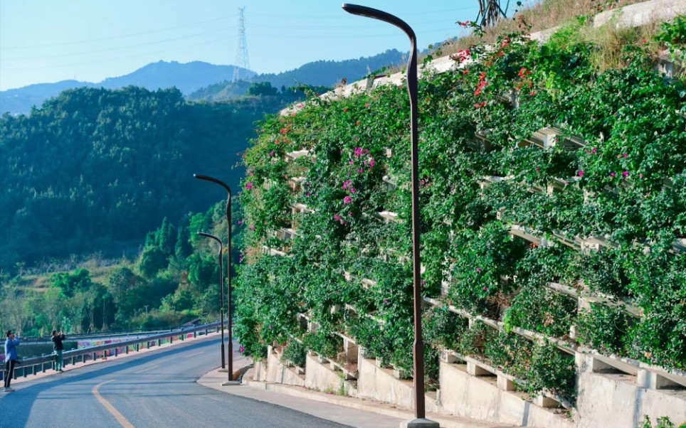 装配式生态挡墙