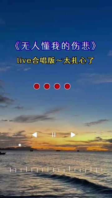 没人懂我的伤悲,也没人懂我的无奈,所有的一切都是自己默默的扛着