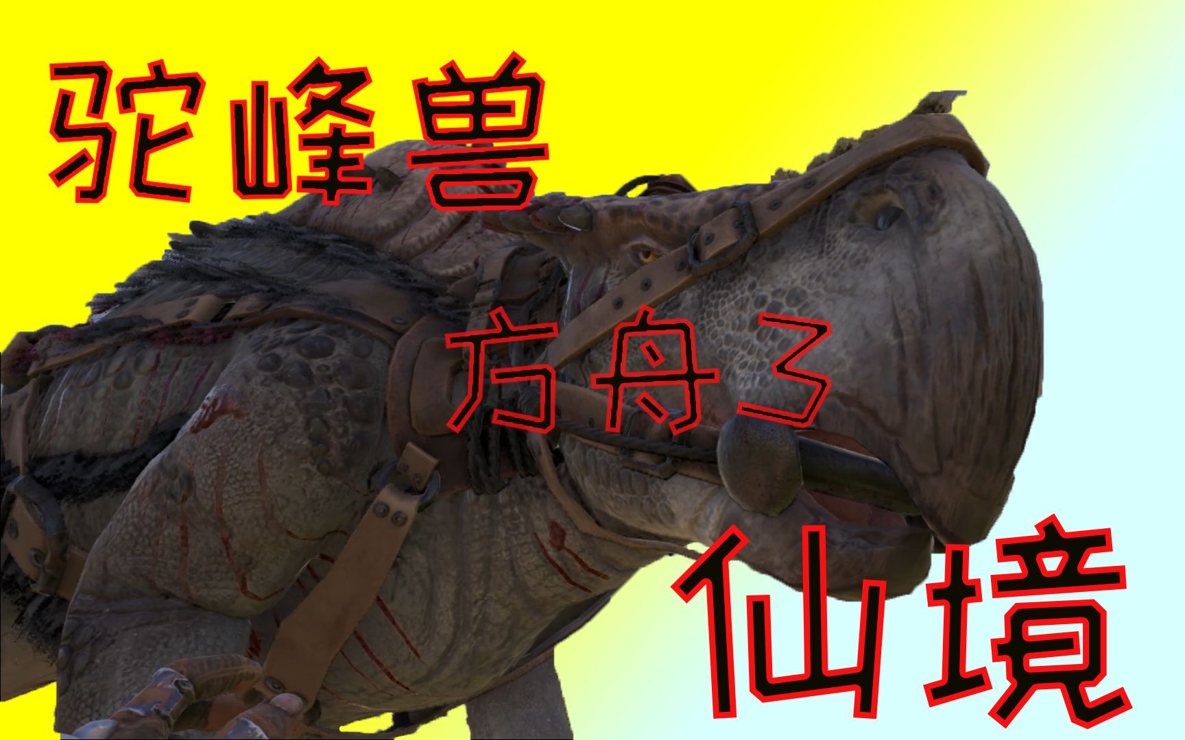 外出找一个大水壶 驼峰兽 再也不用担心没水喝了