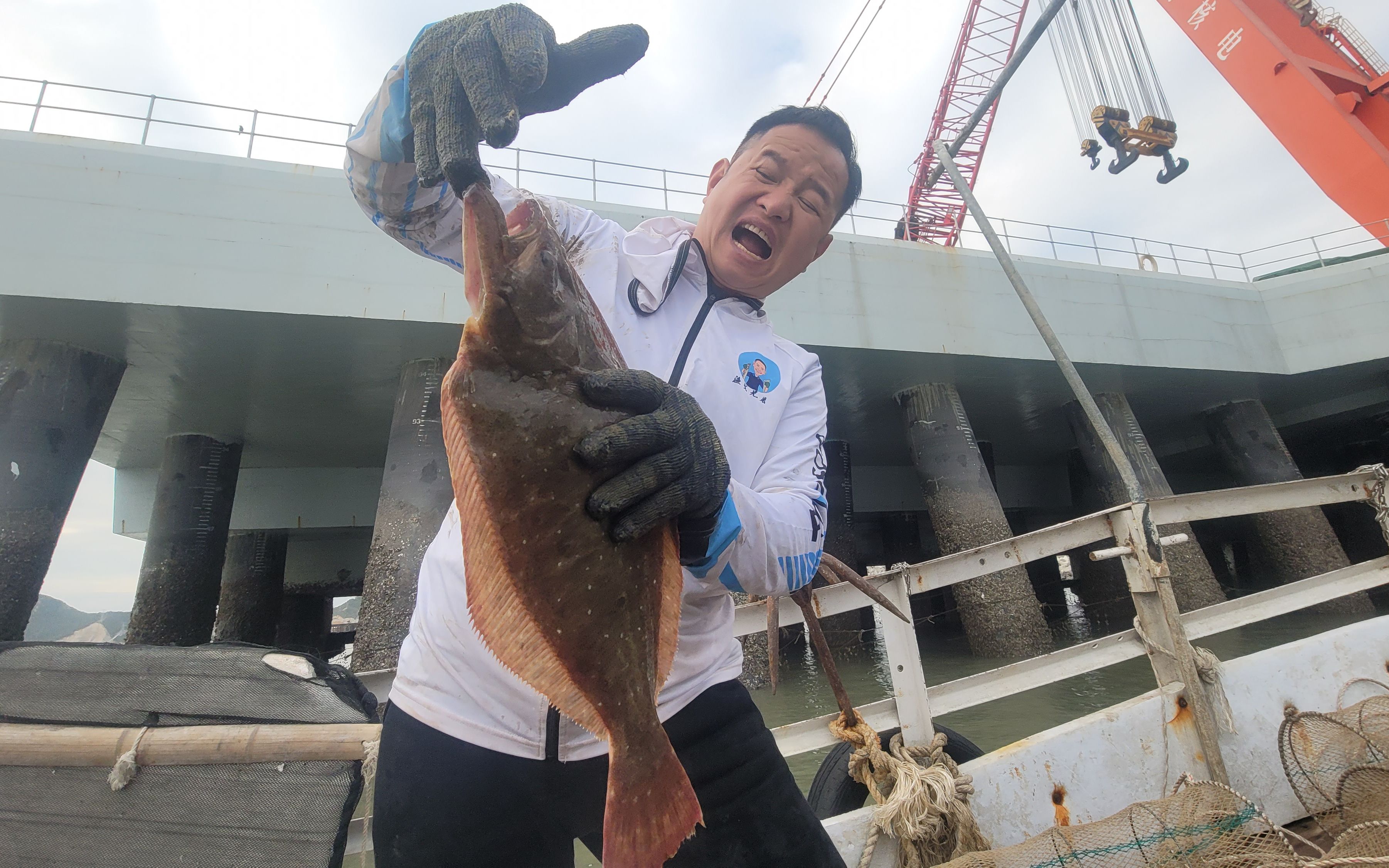 秘密海域的几十个笼子,意外捕获皇帝鱼,还有成群的大螃蟹和龙虾哔哩哔哩bilibili