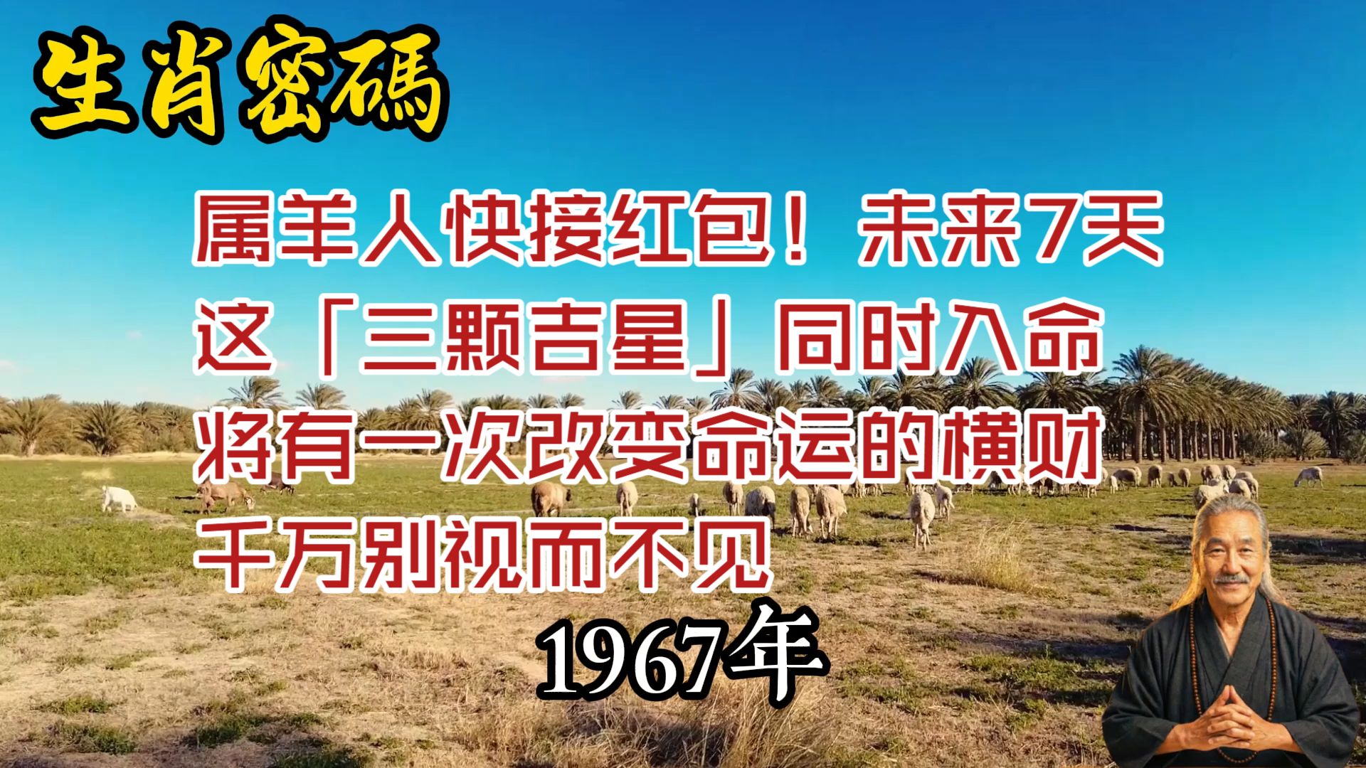 回头看看生肖运势(回头看看生肖运势什么意思)