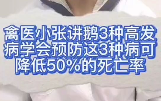 禽医小张讲鹅3种高发病学会预防这3种病可降低50%的死亡率鹅浆膜炎的症状鹅最常见的几种病及治疗大鹅生病的症状有哪些鹅容易得什么病常见鹅病大全10...