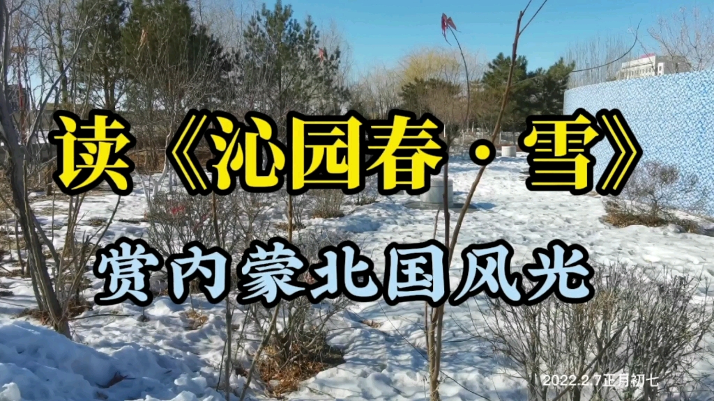 大年初七,朗诵《沁园春61雪》,赏内蒙北国风光,为冬奥健儿加油助威!