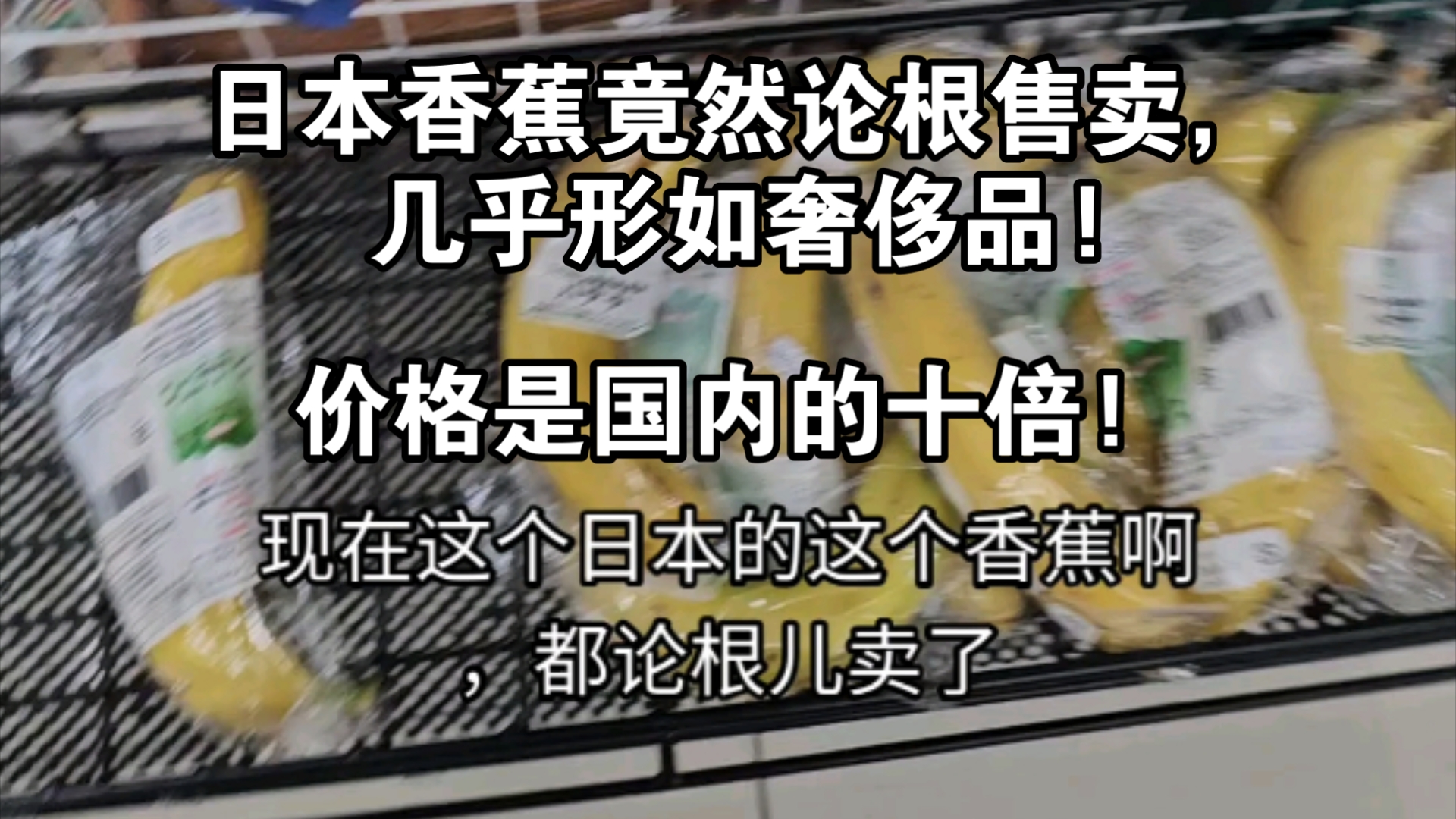 日本香蕉竟然论根售卖,几乎形如奢侈品!价格是国内的十倍!哔哩哔哩bilibili