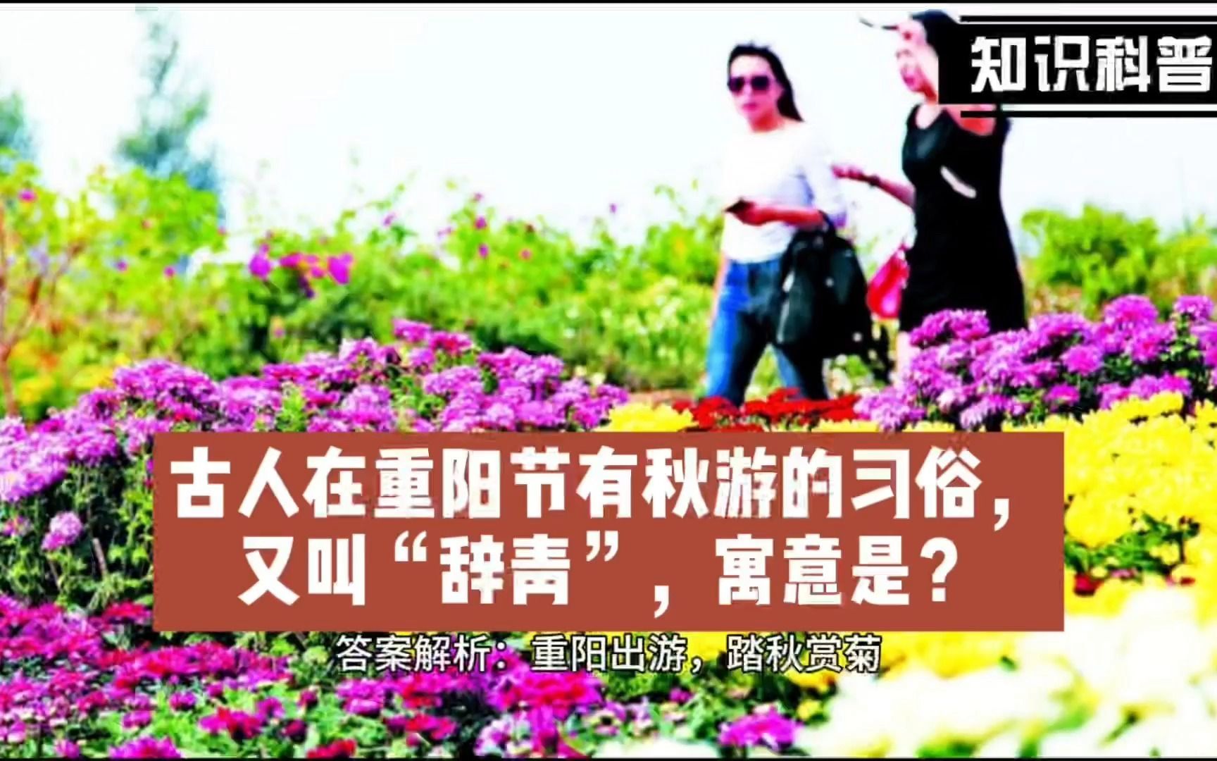 [图]古人在重阳节有秋游的习俗，又叫“辞青”，寓意是？