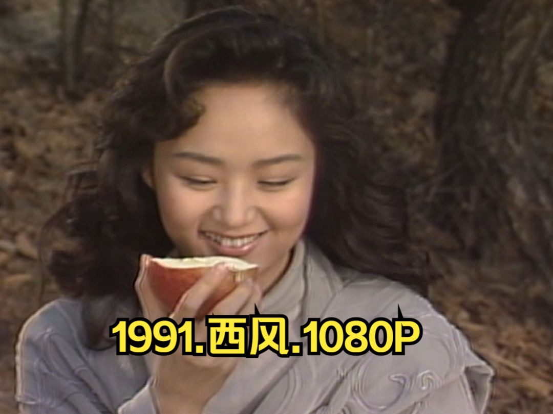 1991.经典韩剧.西风.高清韩语1080.无字新版.102集全哔哩哔哩bilibili