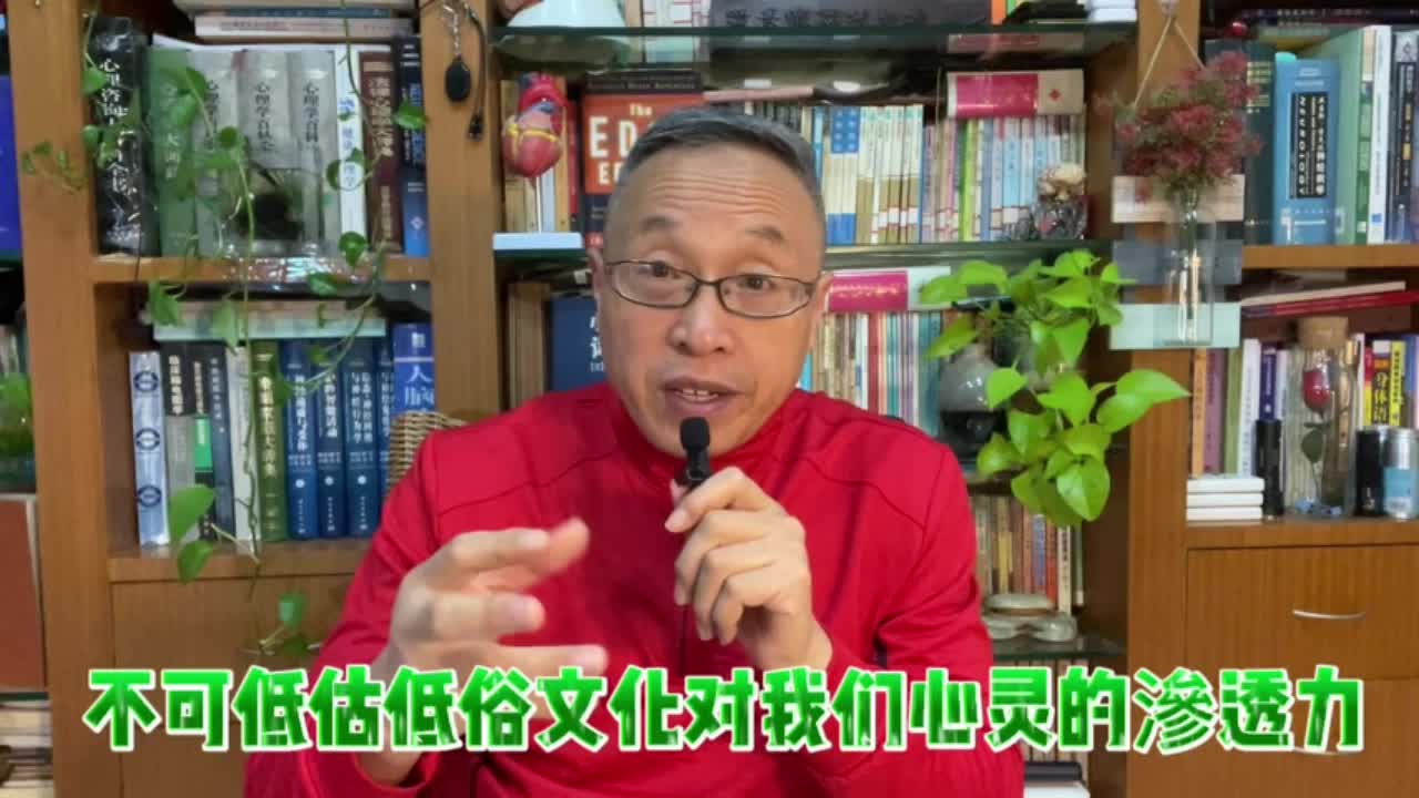 不可低估低俗文化对我们健康心灵的慢性毒害哔哩哔哩bilibili