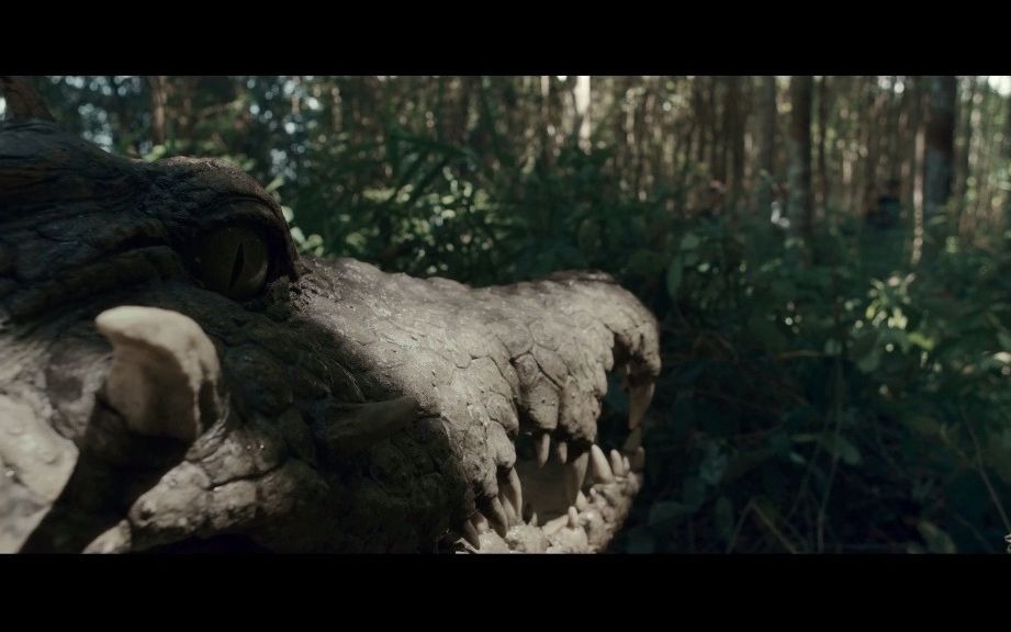 变异鳄鱼会影身还会飞你见过吗?