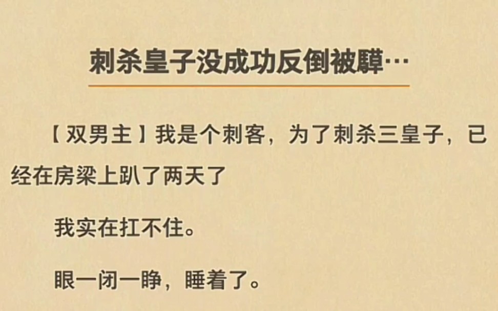 【车文】从刺客被騲成面首是一种什么感觉…哔哩哔哩bilibili