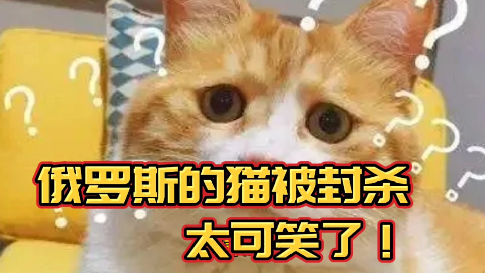 太双标俄罗斯的猫树俄罗斯方块都被制裁说好的无国界呢