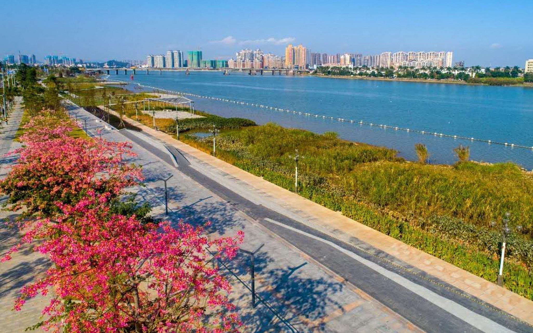 珠海市黄杨河湿地公园