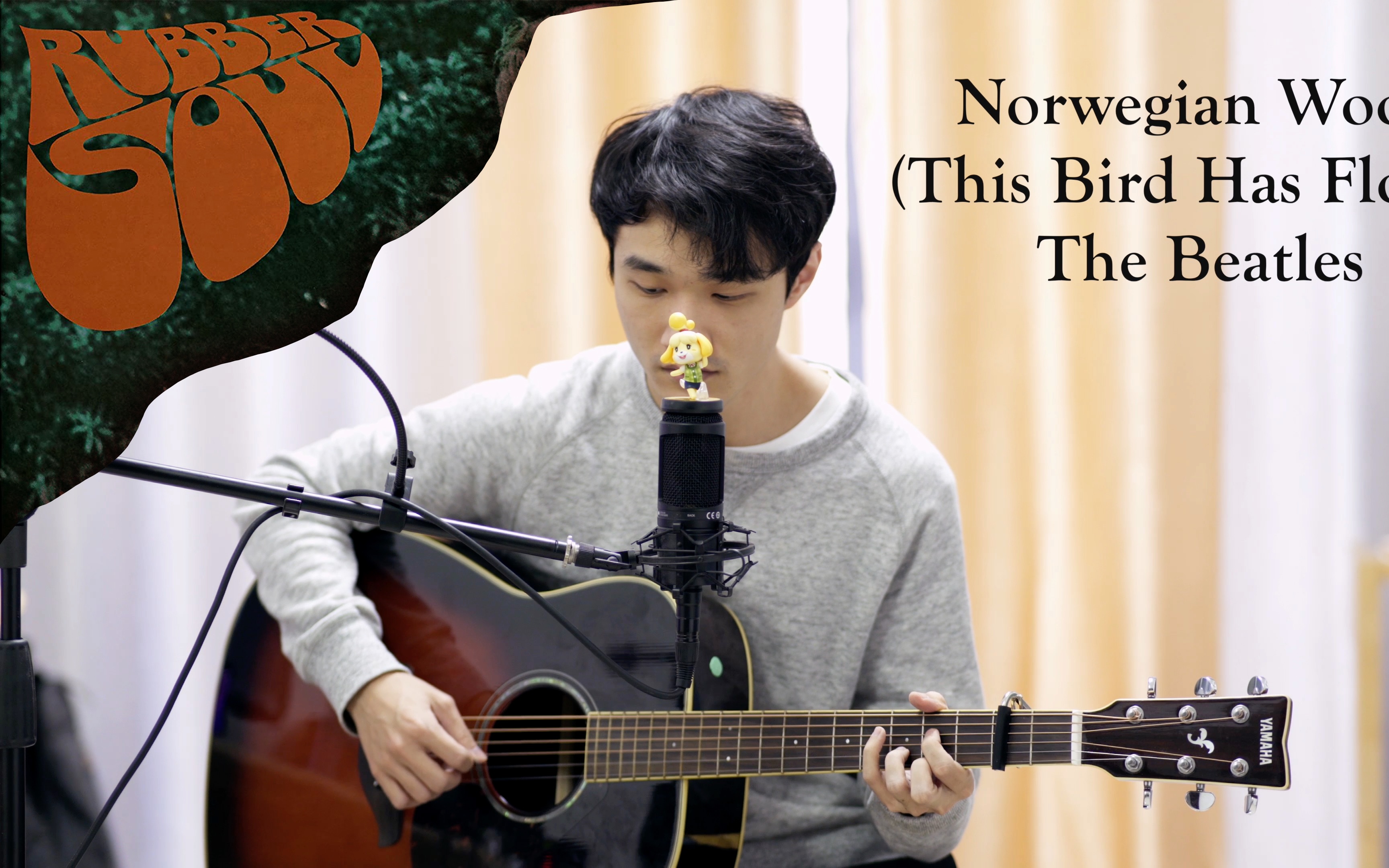 Norwegian Wood (This Bird Has Flown)  The Beatles Cover哔哩哔哩bilibili