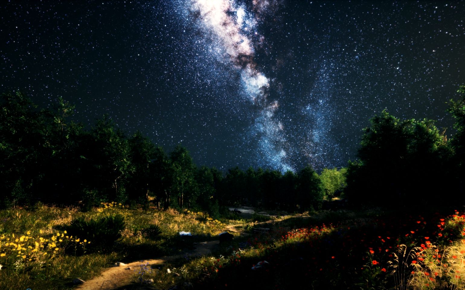 视频素材 可商用 星空草地