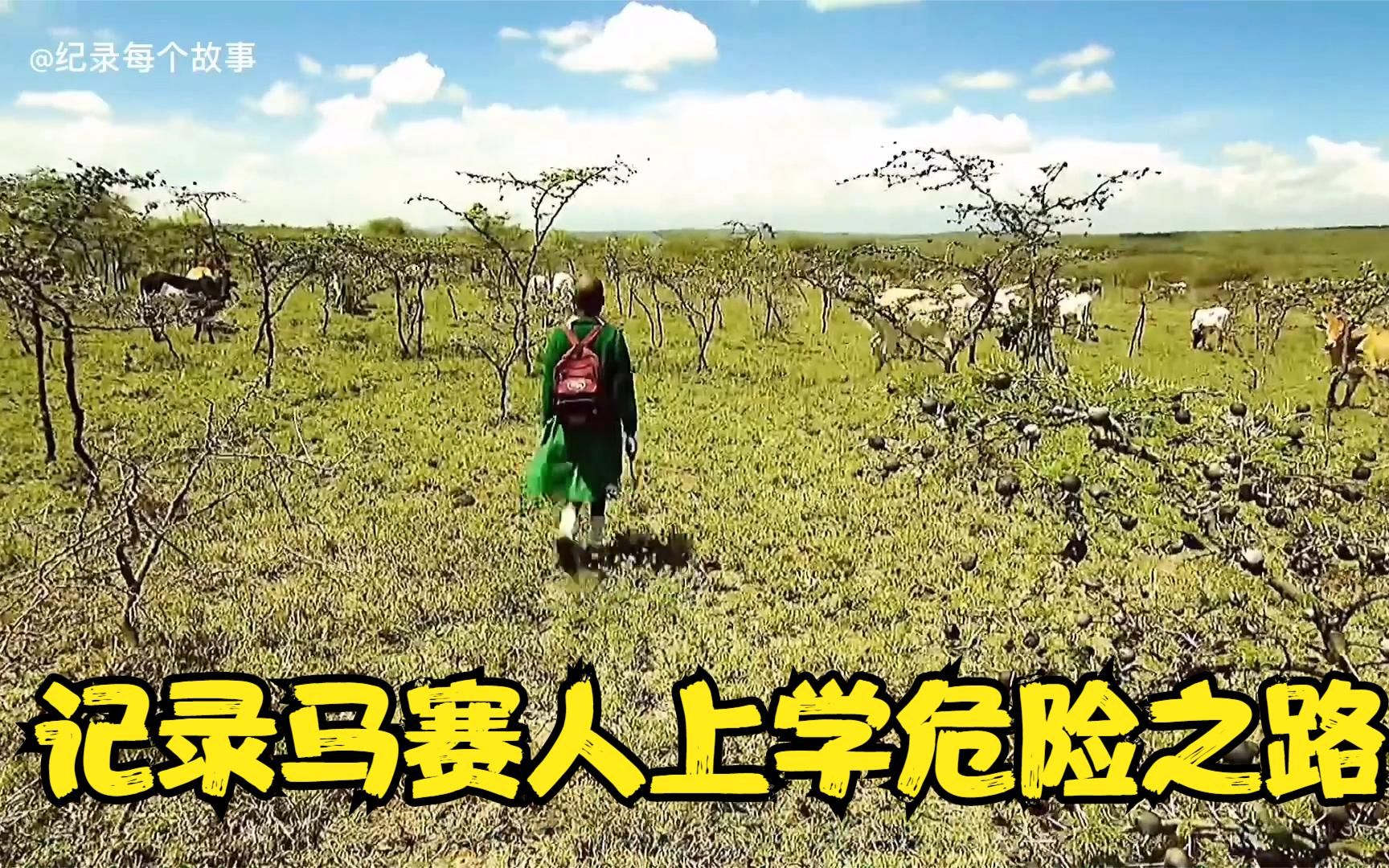 纪录片马赛人的学生危险之路,上学路上像天然的野生动物园 下集