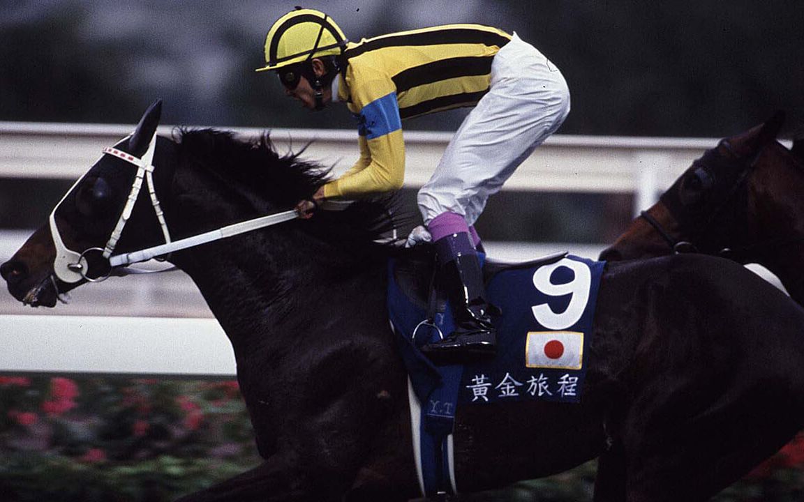 【賽馬】2001年 香港瓶(g1)stay gold(黃金旅程)(p1日語解說,p2粵語