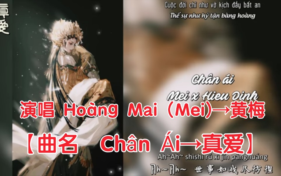 [图]【越南歌曲】【演唱 Hoàng Mai (Mei)→黄梅】【曲名 Chân Ái→真爱】翻唱版本，中文古风歌词版本