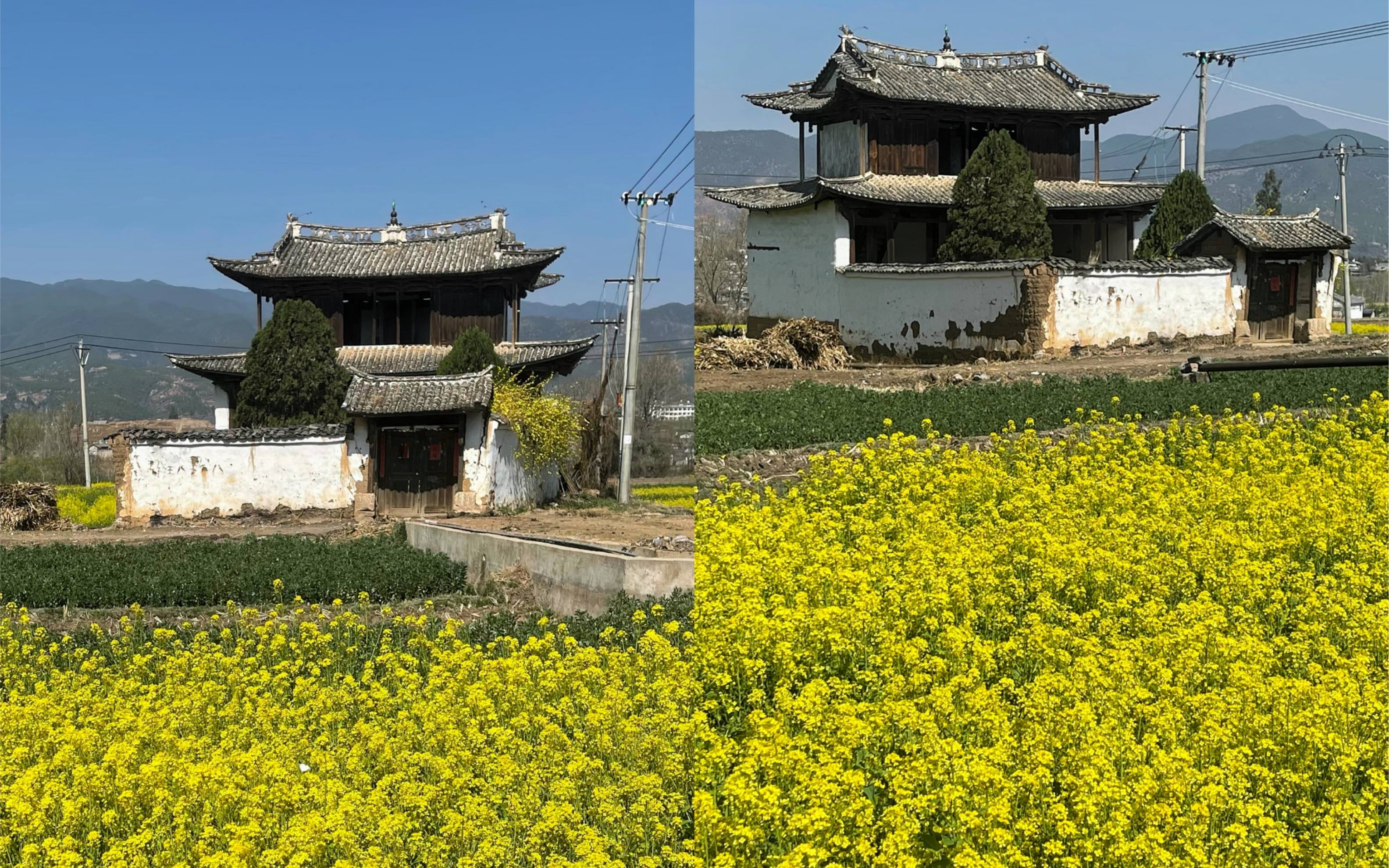 油菜花田旁的古代楼阁,这才是中国人骨子里的浪漫哔哩哔哩bilibili