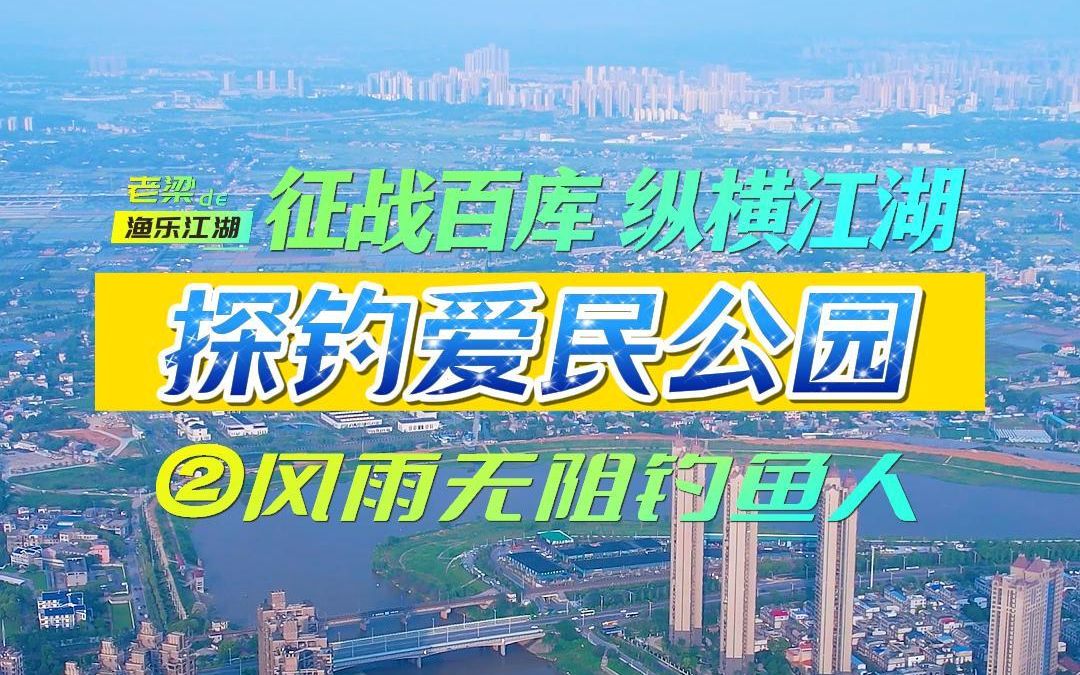 野钓:风雨无阻,长沙网红钓点捞刀河爱民公园,野钓选位决定你最终鱼获哔哩哔哩bilibili