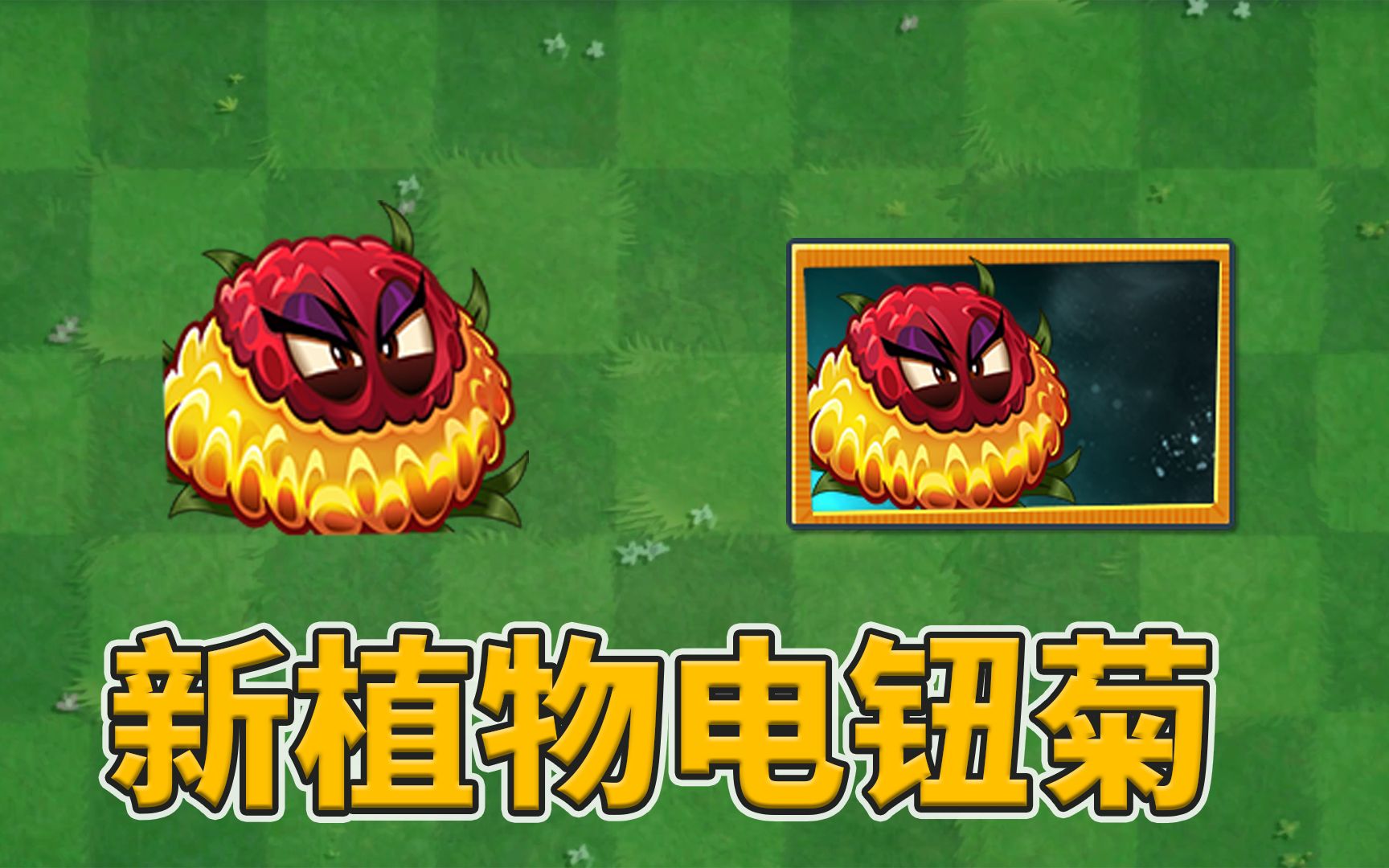 pvz2:新植物电钮菊试玩!植物大战僵尸