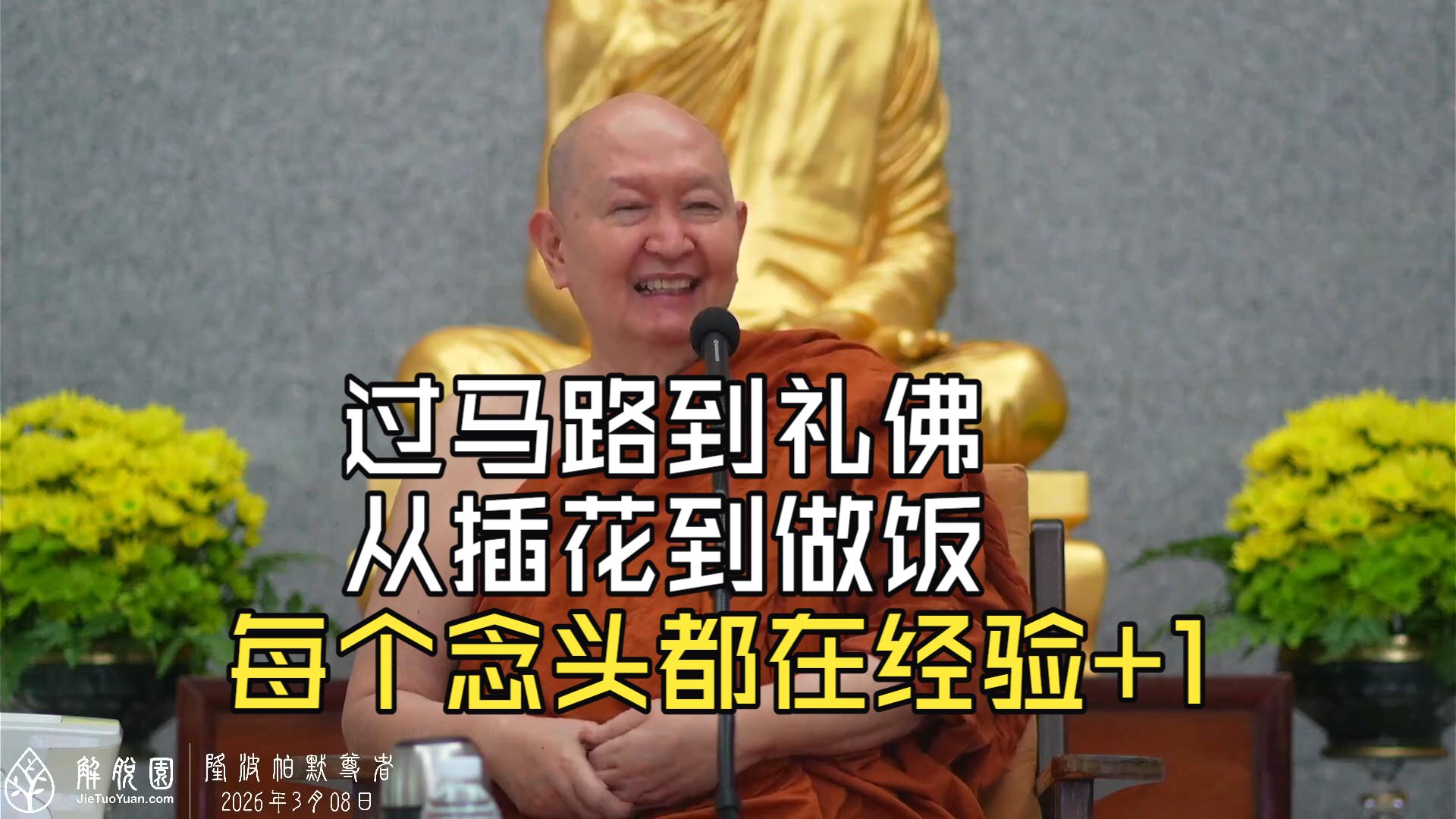 四念处修行实践：在觉知中照见心的本来模样——隆波帕默尊者2026年3月8日