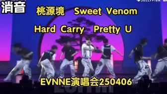【消音】EVNNE - Cover串烧 250406 桃源境 Sweet Venom Hard Carry Pretty U