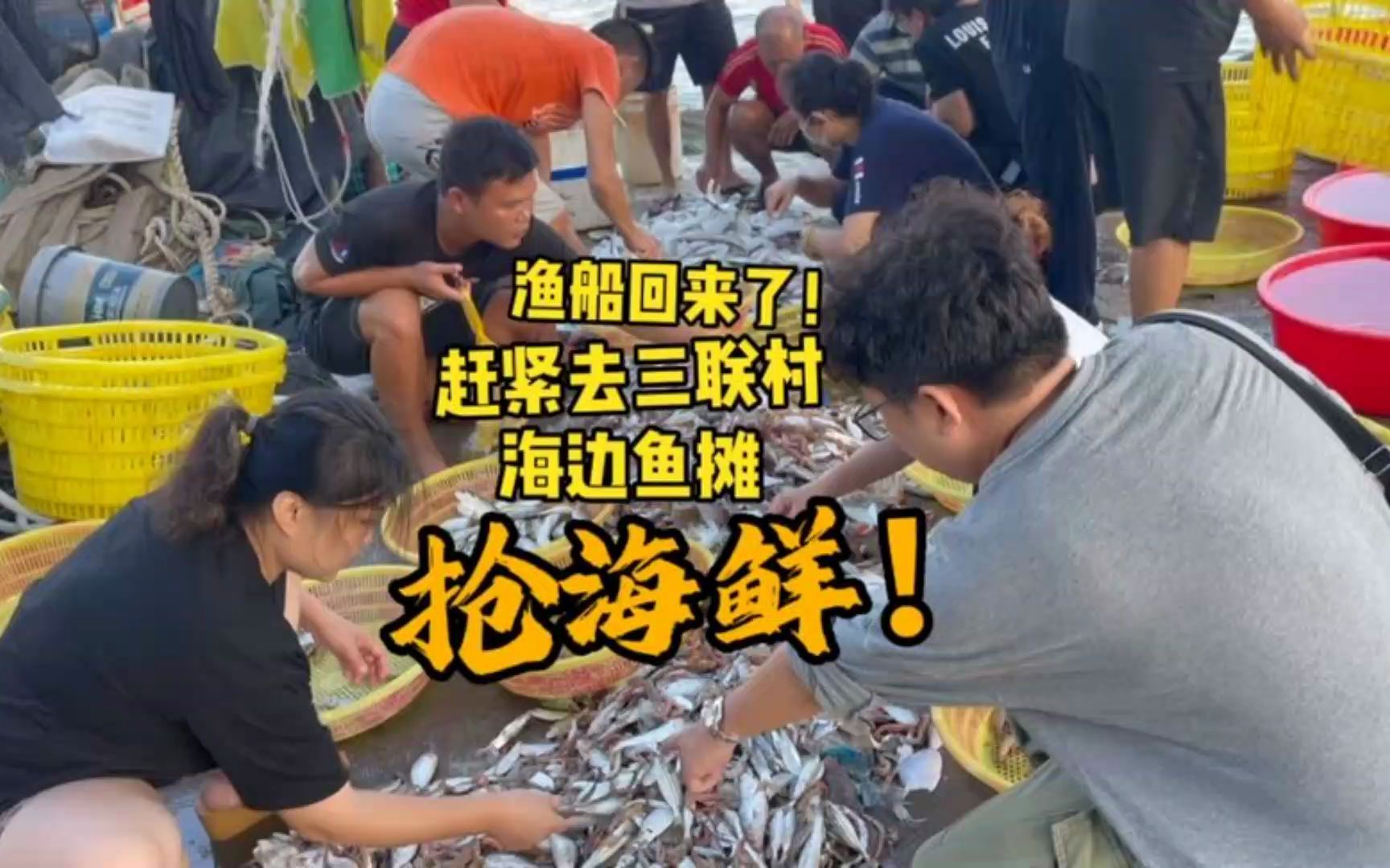 [图]海口这个小渔村港口，船一回港就有很多人去抢海鲜