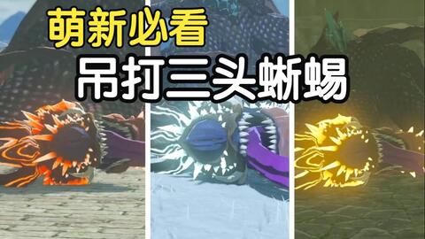 王国之泪：前期获取最强材料，最详细的三头龙教程，全部14只位置分享