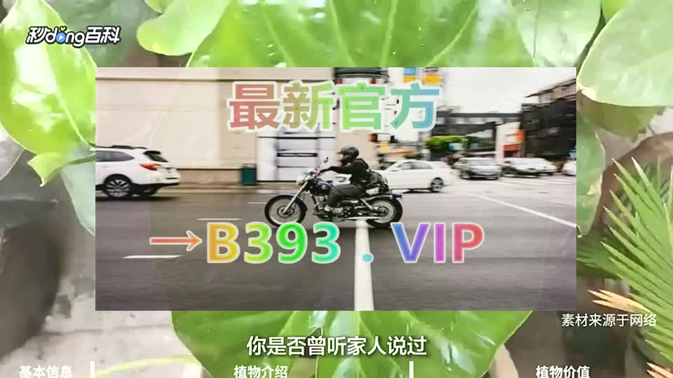 追风官方解说:巴士棋牌安卓版